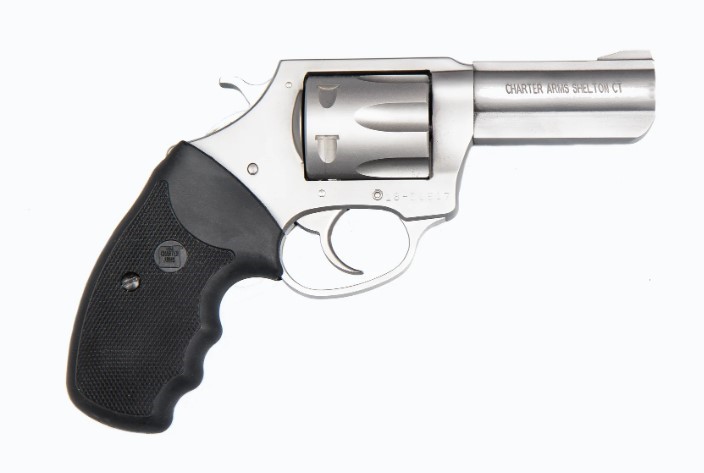 CHARTER ARMS PIT BULL .380 LARGE ALUMINUM 6 SHOT 3IN FIXED STANDARD STAINLESS STEEL 73802 - Taurus Savings